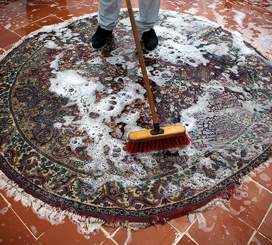 Oriental Rug Cleaning Services