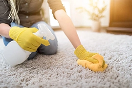 Carpet Cleaning​