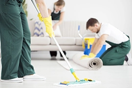 Carpet Cleaning​