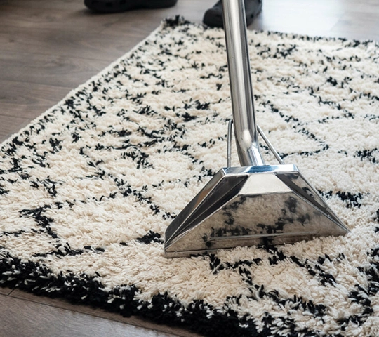 Deep Oriental Cleaning Rugs