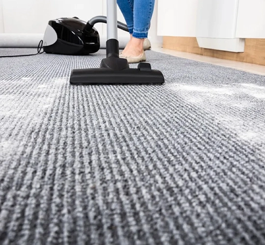 Carpet Cleaning Services in Princeton​